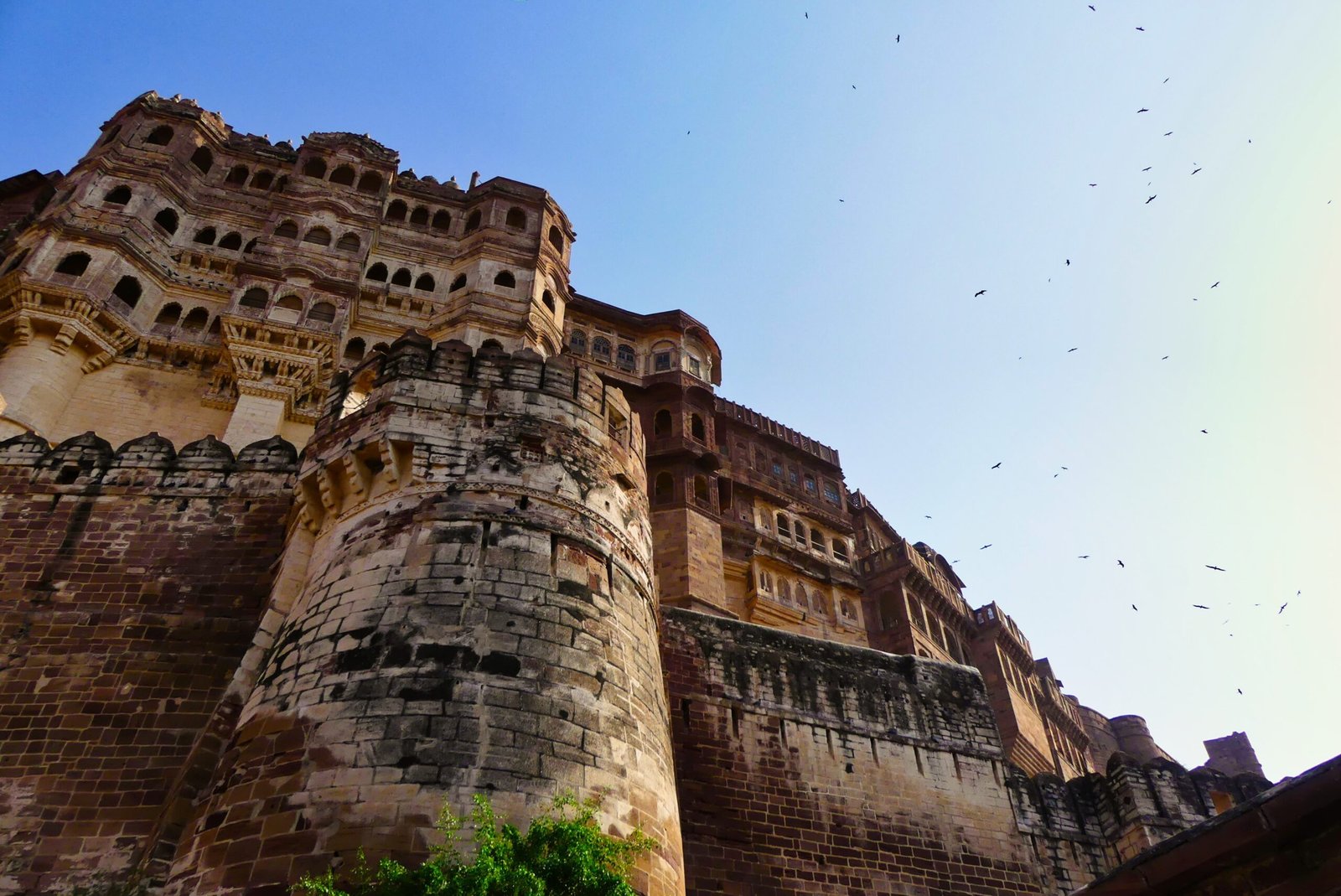 This is an image of a fort in rajasthan, india travel agency (taj travel site golden triangle tour